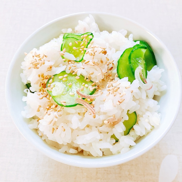 胡瓜と茗荷のすし飯